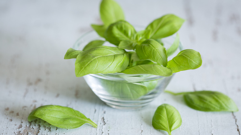 Fresh basil in bowl