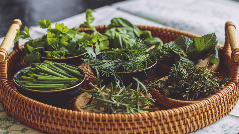 Basket of fresh herbs