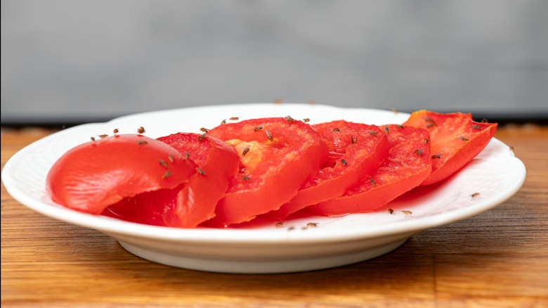 Fruit flies feeding on tomato slices on white plate