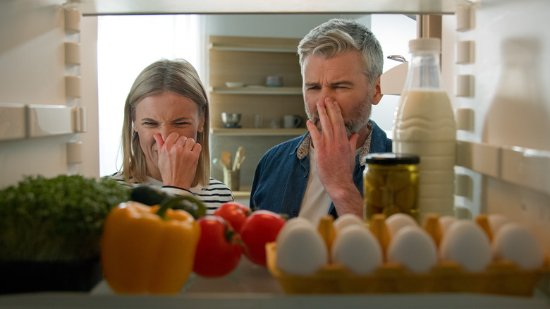 A man and woman hold their noses while looking inside a fridge