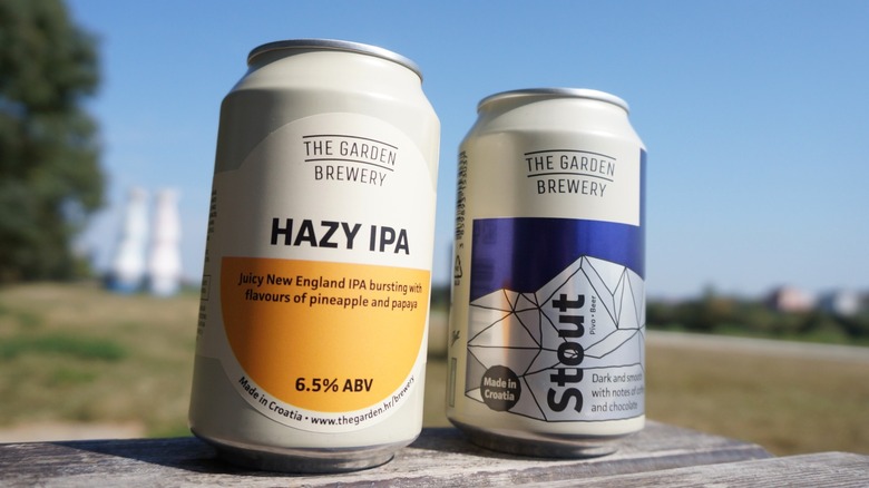 Cans of craft hazy IPA and stout beer with sky background