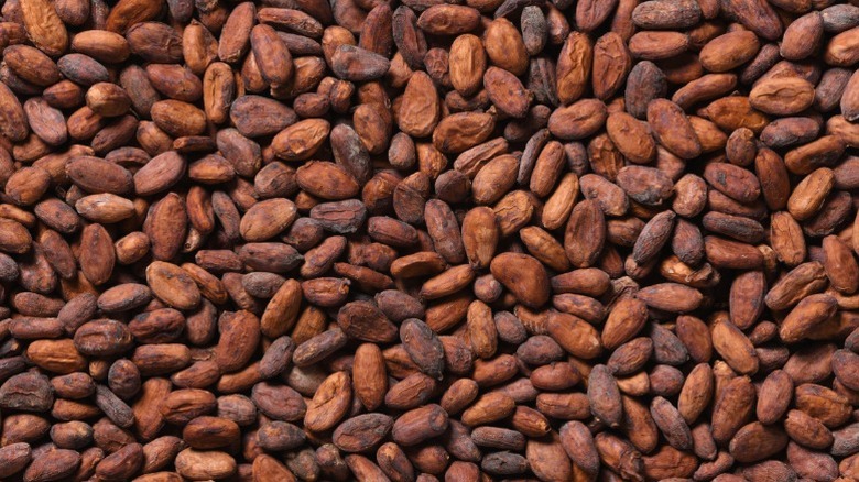 Dried cacao beans.