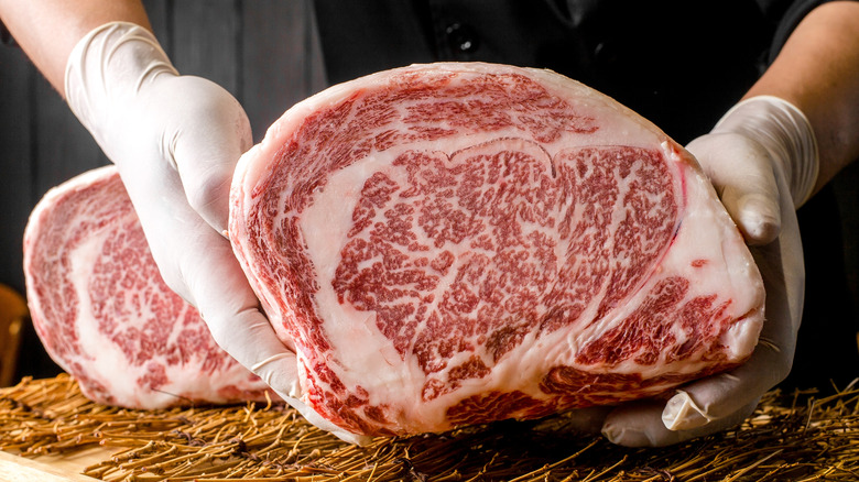 Gloved hands holding a large cut of wagyu beef