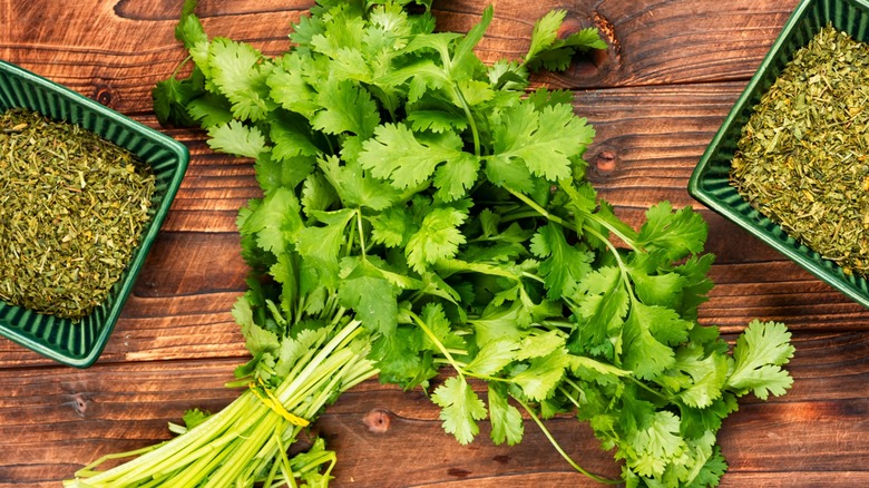Fresh and dried cilantro on wood table