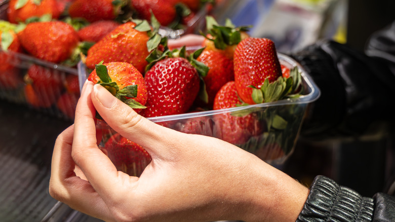 Hand picking strawberry out of clear plastic container filled with strawberries