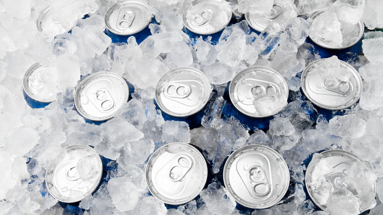 beer cans covered in ice