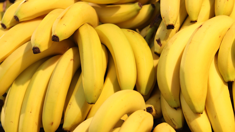 A large quantity of ripe yellow bananas