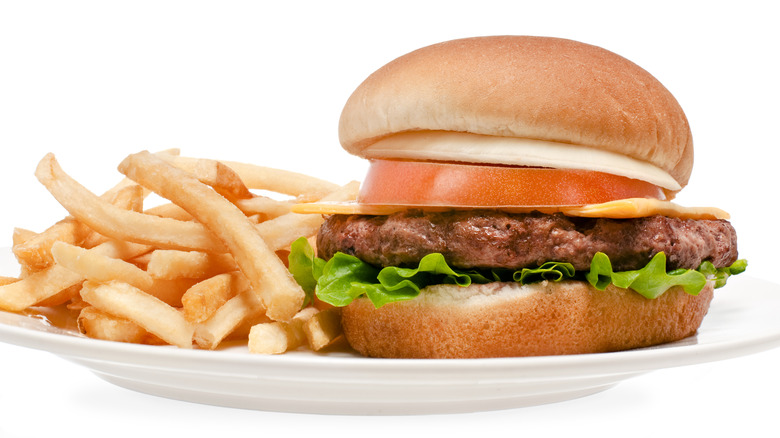 Hamburger and fries on white plate