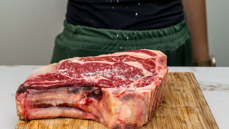 Person sprinkling salt on steak