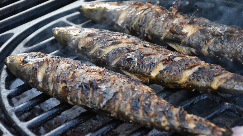 shad on a grill