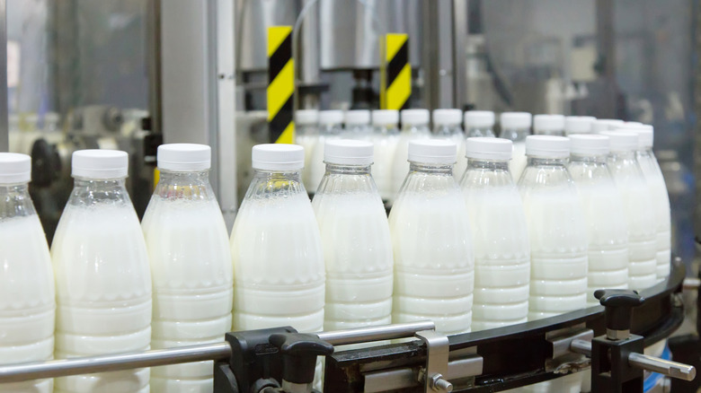 Bottles of milk in a factory.