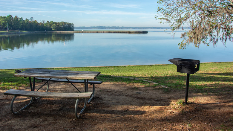 Wooden picnic table and grill at lakeside park
