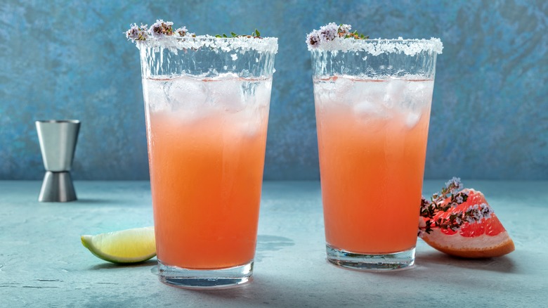 Two glasses of the salty dog cocktail with salted rims, and wedges of grapefruit and lime