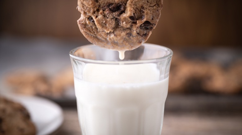 A chocolate chip cookie being dipped into milk.