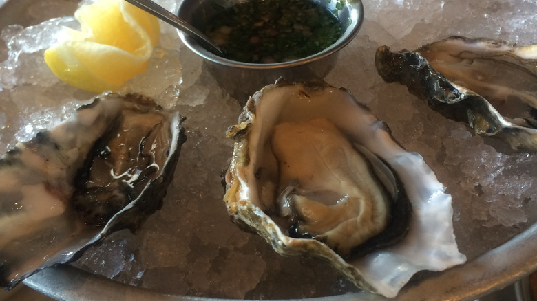 Oysters on the half shell on ice served with lemon and herbs