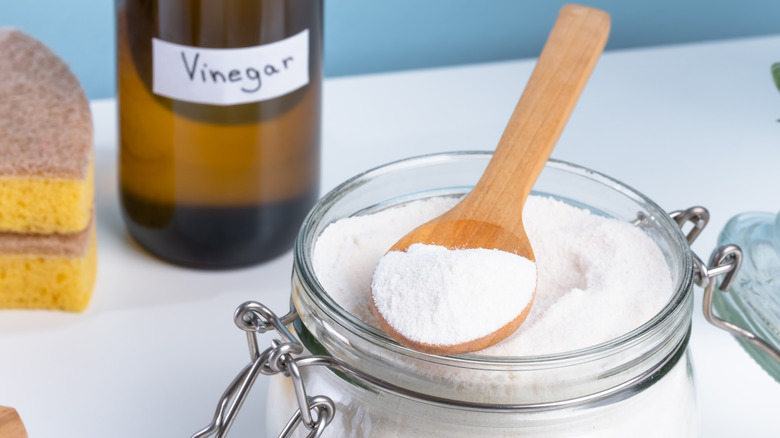 A bottle of vinegar, a jar of baking soda, and a sponge
