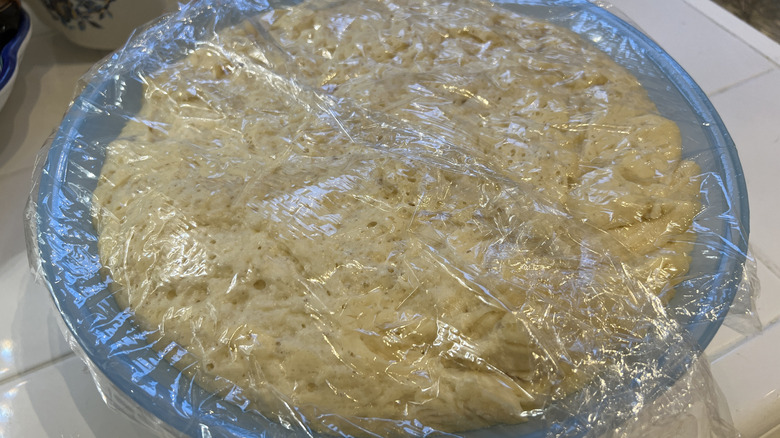 Bread dough rising in a blue bowl covered in plastic wrap