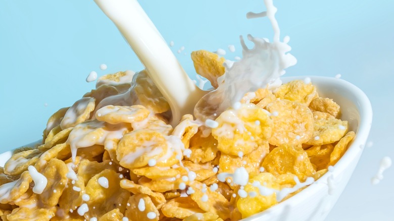 Milk stream pouring into a bowl with сornflakes close up