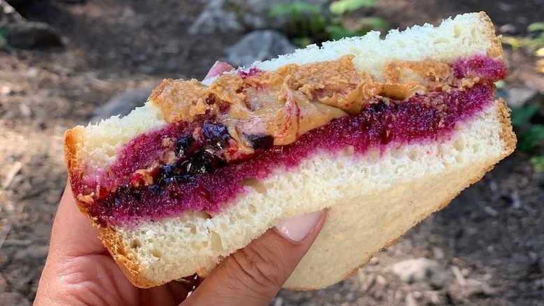 hand holding peanut butter and huckleberry jam sandwich