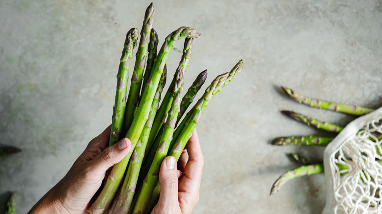 A person's hand holding a bunch of green asparagus