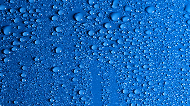 Moisture/water droplets on a blue background