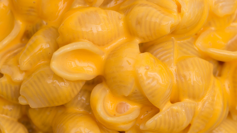 A closeup of prepared boxed shells mac and cheese