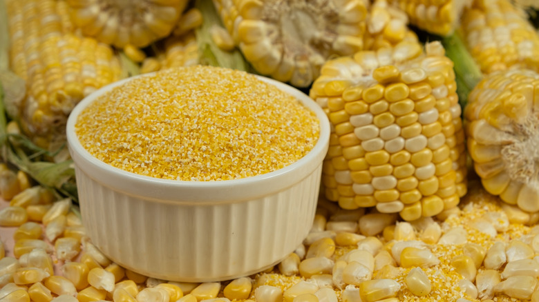 Small white bowl filled with coarse yellow grits surrounded by ears of corn.