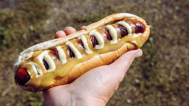 person holding Icelandic hot dog with mustard and remoulade
