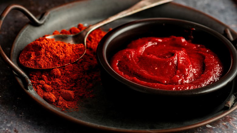 Gochujang Korean pepper paste in a bowl with a spoonful of red powdered spice