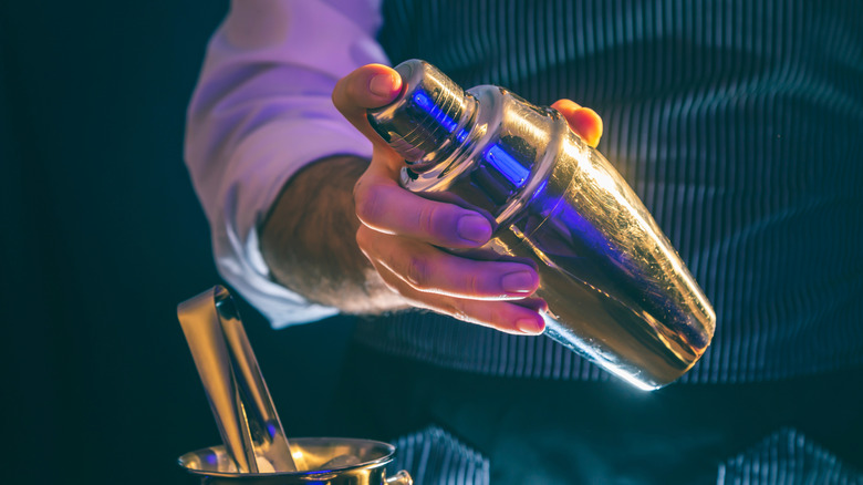 A bartender shaking a cocktail shaker