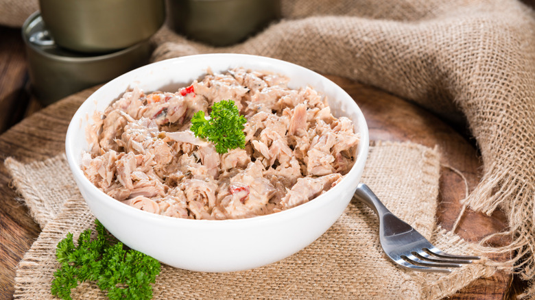 A portion of tuna salad stylishly served in a white bowl.