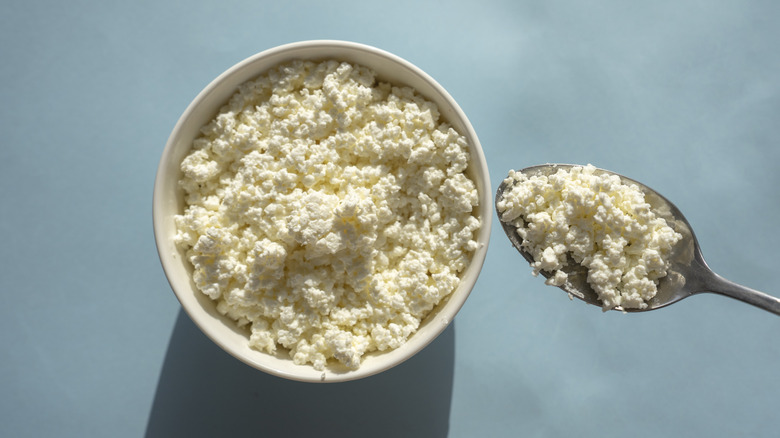 A bowl of small curd cottage cheese, against a blue background
