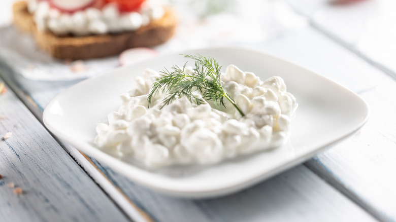 A bowl of large curd cottage cheese with a sprig of fresh dill on top