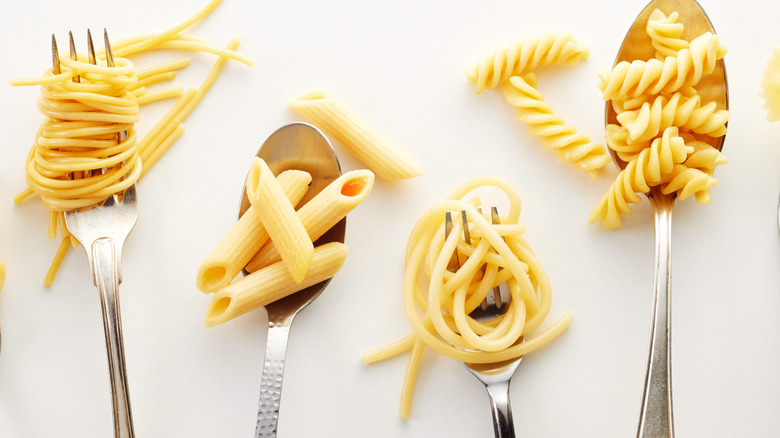 Different types of pasta on forks and spoons