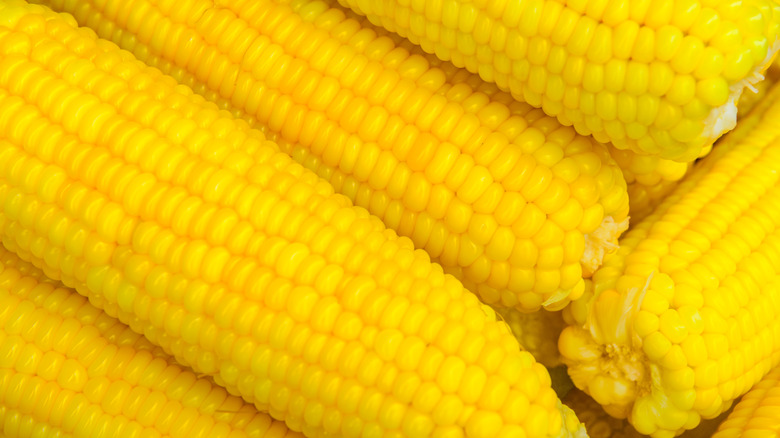 Corn on the cob