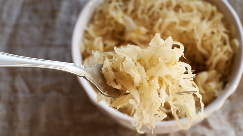 Fermented cabbage, or sauerkraut, on a fork