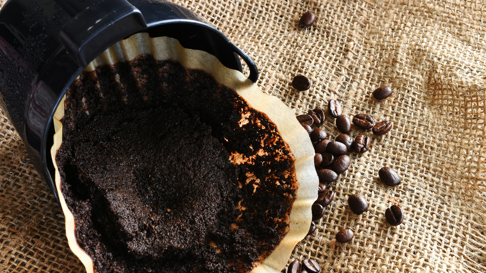 How To Repurposed Used Coffee Grounds For Breakfast