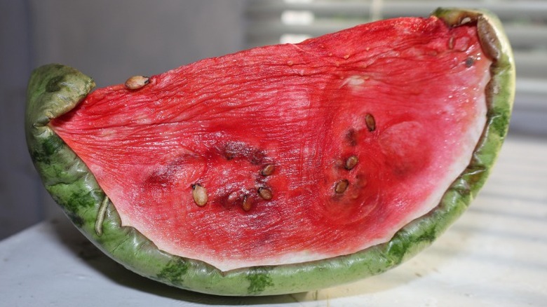 a dried, discolored slice of watermelon sits on a counter