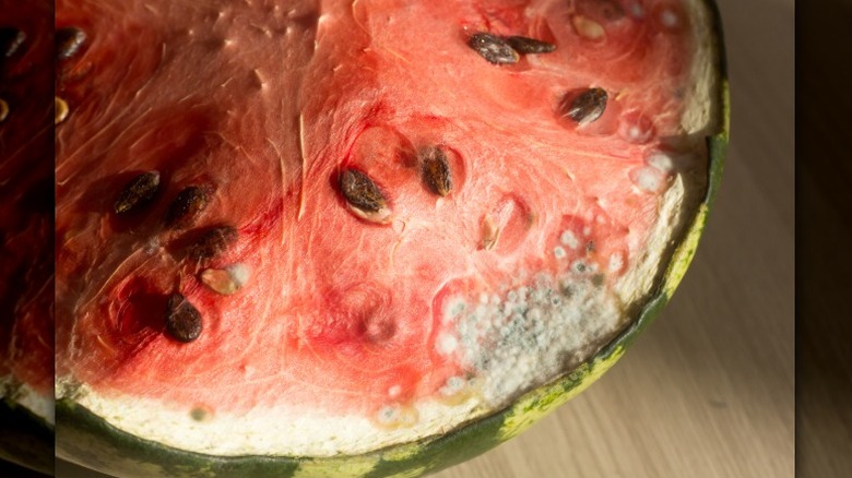half of a watermelon with mold sits on a countertop