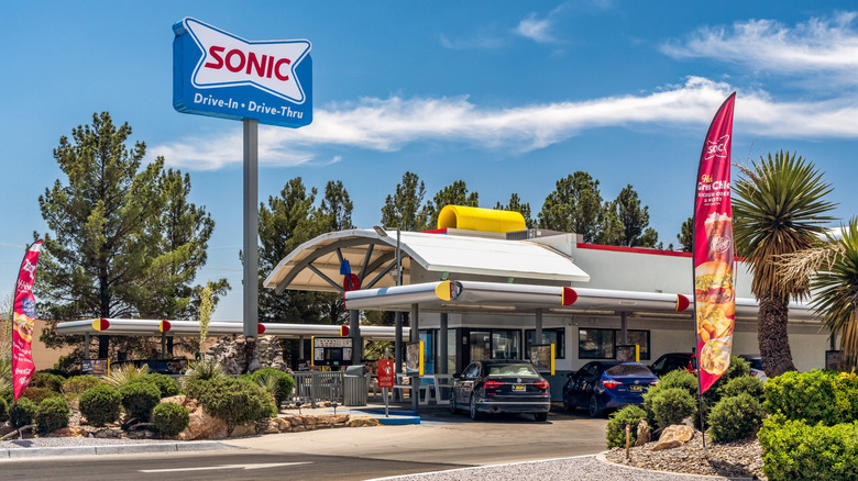 Sonic french fries