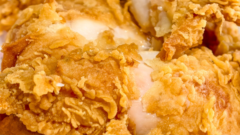 A closeup of fried chicken breading