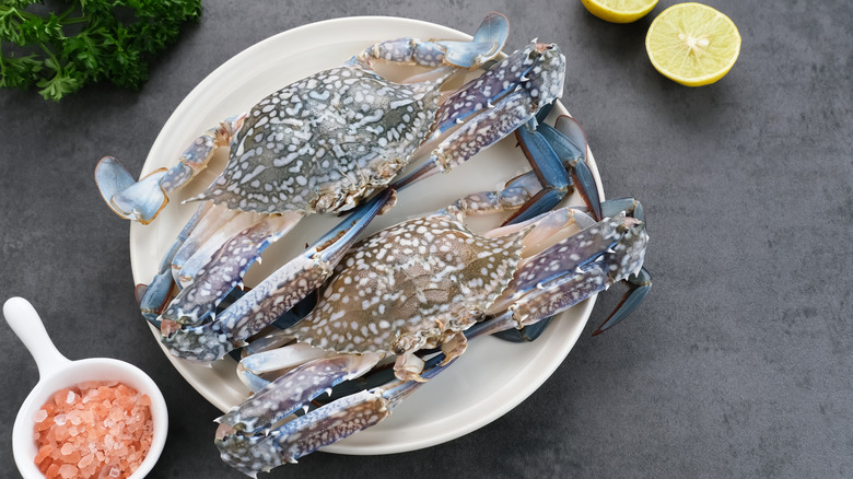 Fresh, raw blue crab on plate