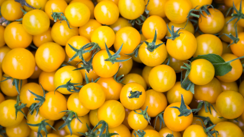 A top-down view of fresh, yellow, cherry tomatoes