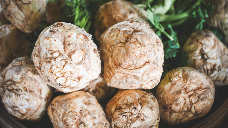 A stack of fresh celeriac, aka celery root.