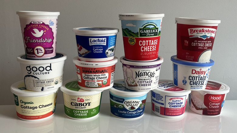 A variety of store-bought cottage cheese brands