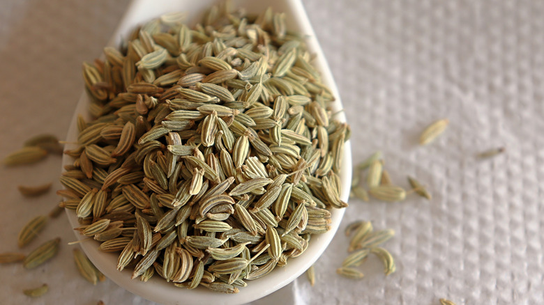 Up close view of fennel seeds on a white spoon