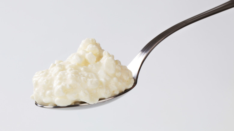 A tablespoon of cottage cheese being held up.