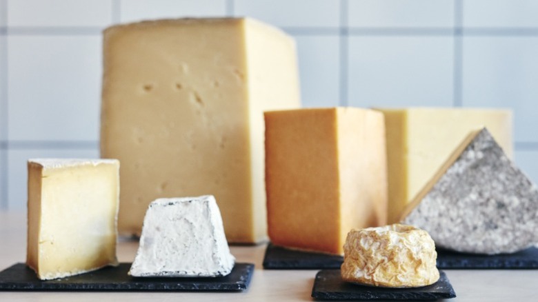 Different blocks of cheese lined up on white background.