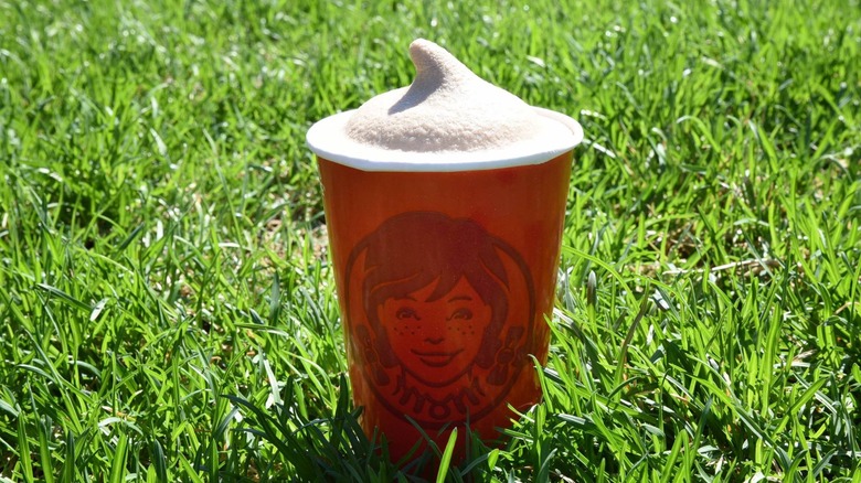 Frosty on grass
