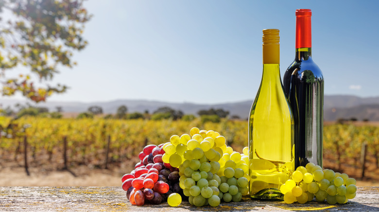 Wine bottles on a liquor store shelf.